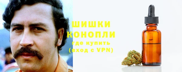 амф Пенза