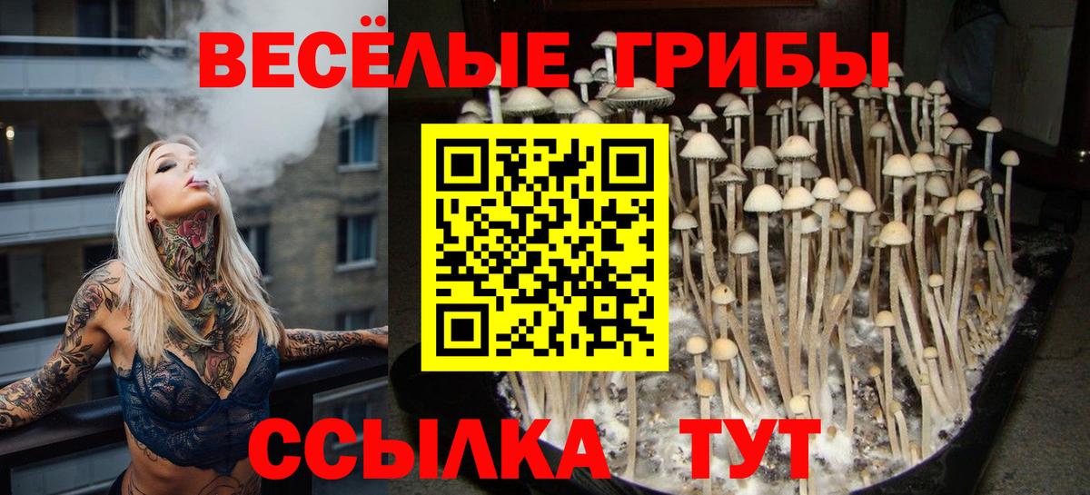 Галлюциногенные грибы MAGIC MUSHROOMS  Галлюциногенные грибы мухоморы  Октябрьский 