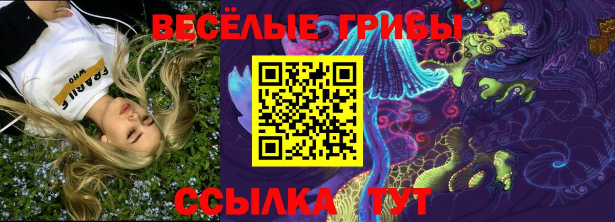 Октябрьский  Псилоцибиновые грибы мицелий  Вход с VPN 